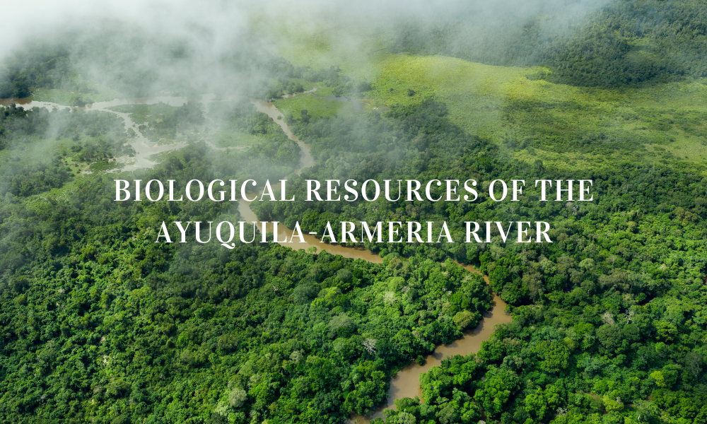 BIOLOGICAL RESOURCES OF THE AYUQUILA-ARMERIA RIVER