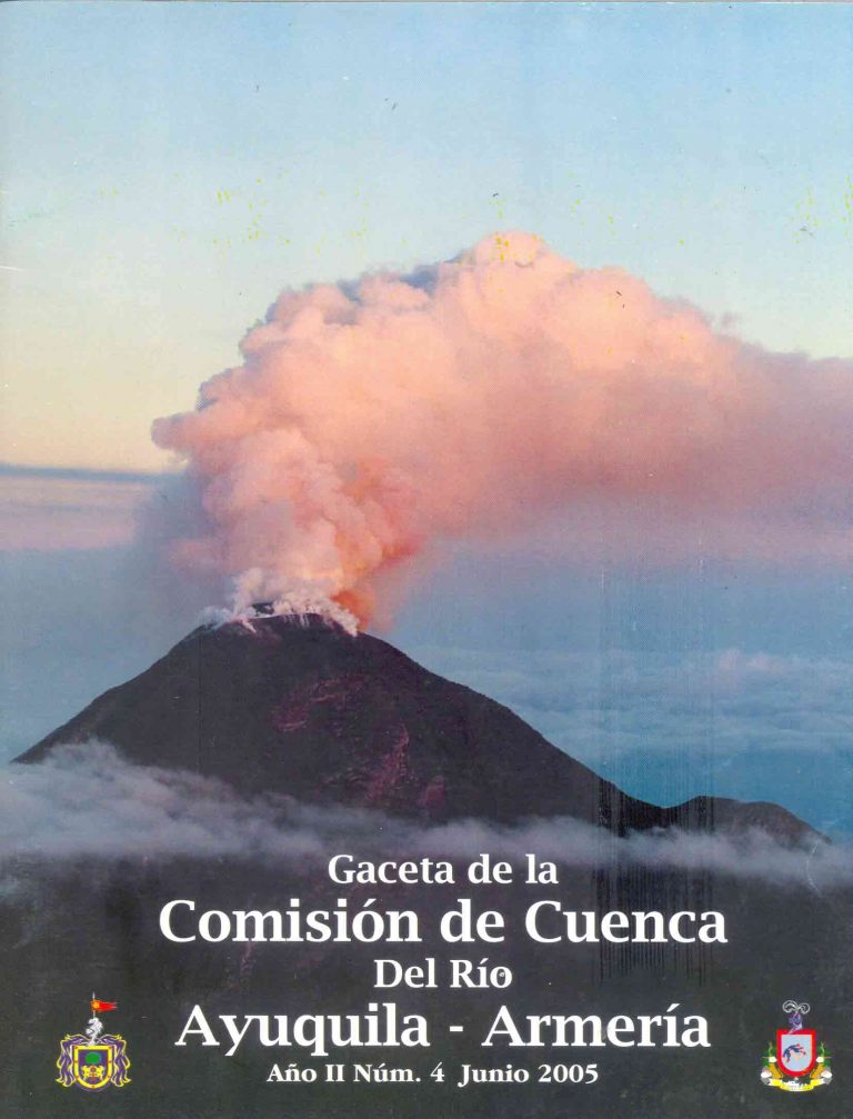 Gaceta 4 de junio 2005