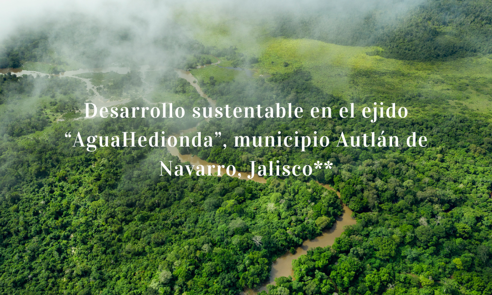 Desarrollo sustentable en el ejido “AguaHedionda”, municipio Autlán de Navarro, Jalisco**