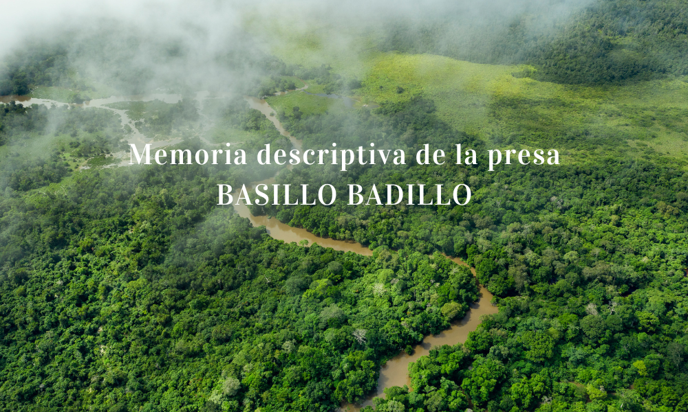 Memoria descriptiva de la presa BASILLO BADILLO