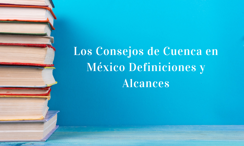 Los Consejos de Cuenca en México Definiciones y Alcances