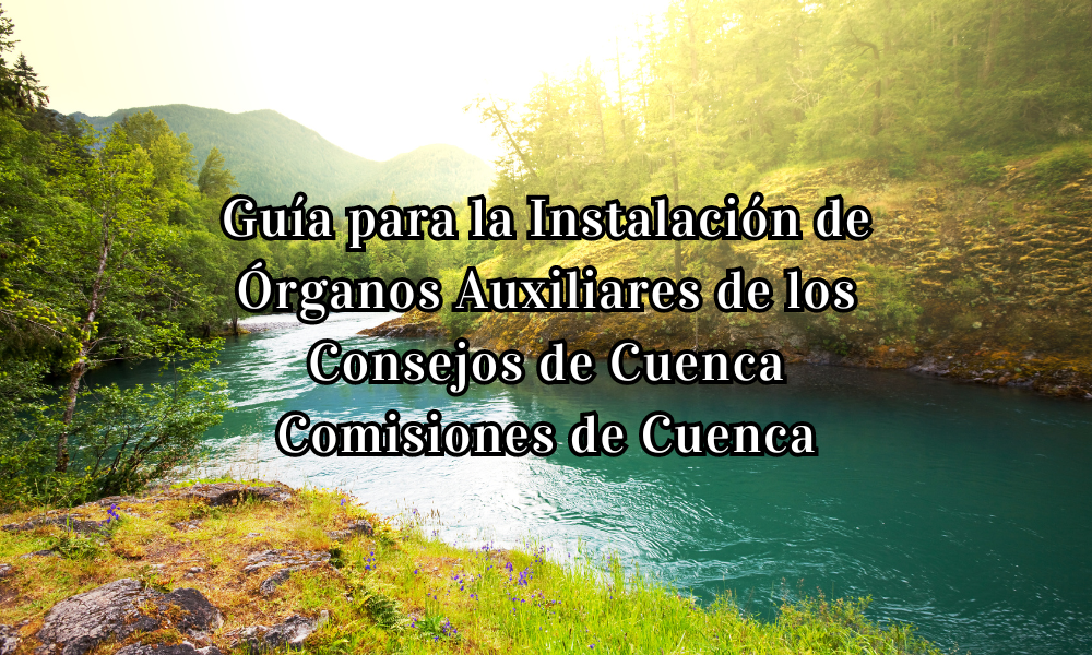 Guía para la Instalación de Órganos Auxiliares de los Consejos de Cuenca Comisiones de Cuenca