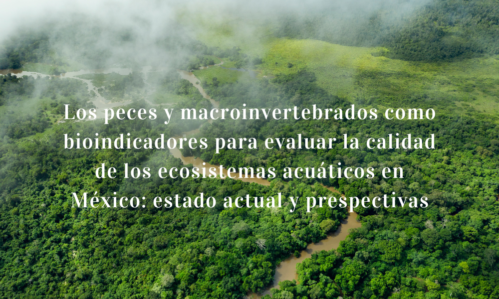 Los peces y macroinvertebrados como bioindicadores para evaluar la calidad de los ecosistemas acuáticos en México: estado actual y prespectivas