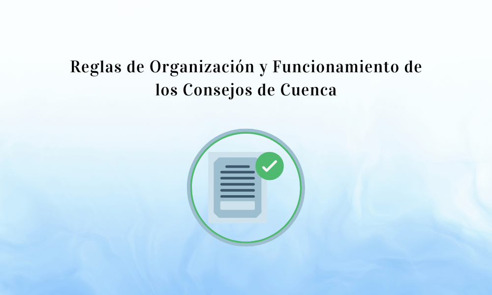 Reglas de Organización y Funcionamiento de los Consejos de Cuenca